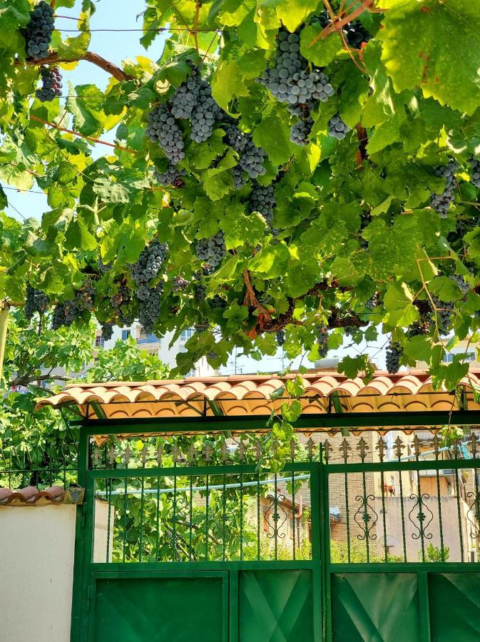Unique Traditional House, Hosted By J&G Tirana Esterno foto