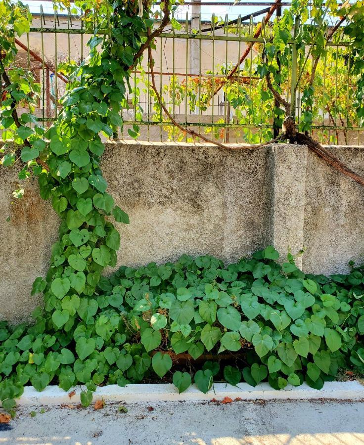 Unique Traditional House, Hosted By J&G Tirana Esterno foto
